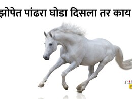 White Horse Swapna Shastra: स्वप्नात पांढरा घोडा दिसणे शुभ की अशुभ?  पंडित कौशल पांडेय यांनी सांगितला खरा अर्थ
