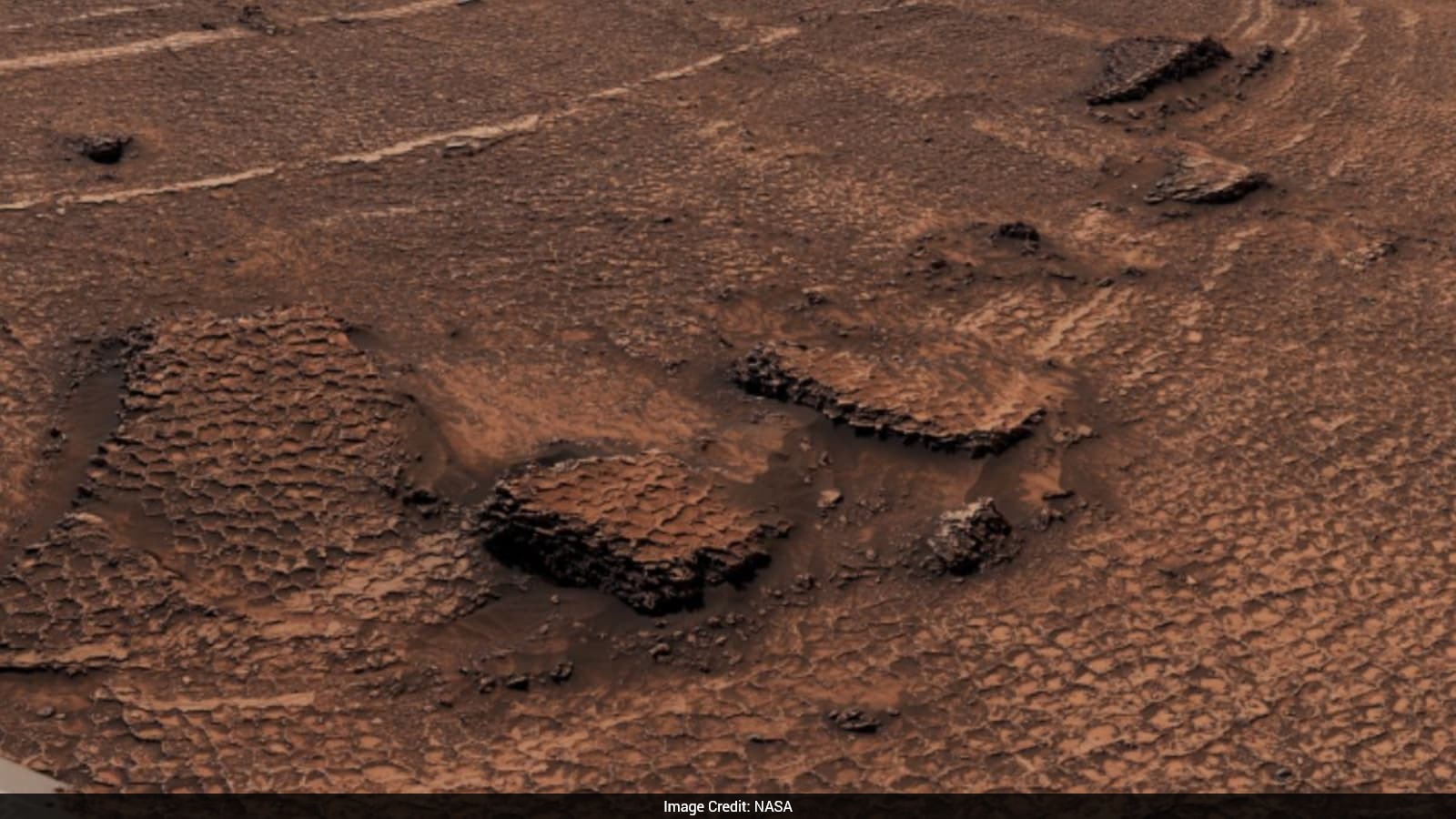 NASA's Curiosity Rover Finds Vast Honeycomb-Like Landscape On Mars