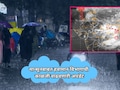 Rain Update: मान्सून गायब, आठवडाभर कशी असेल स्थिती? हवामान विभागाची काळजी वाढवणारी अपडेट