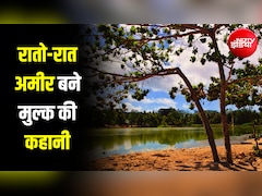 वो देश जो पक्षियों की 'बीट' से रातोरात बन गया था दुनिया का सबसे अमीर मुल्क... आज कैसे हैं हालात?