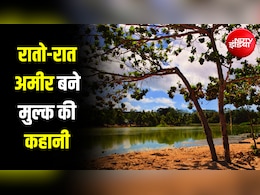 वो देश जो पक्षियों की 'बीट' से रातोरात बन गया था दुनिया का सबसे अमीर मुल्क... आज कैसे हैं हालात?