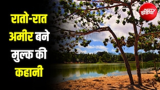 वो देश जो पक्षियों की 'बीट' से रातोंरात बन गया था दुनिया का सबसे अमीर मुल्क... आज कैसे हैं हालात?