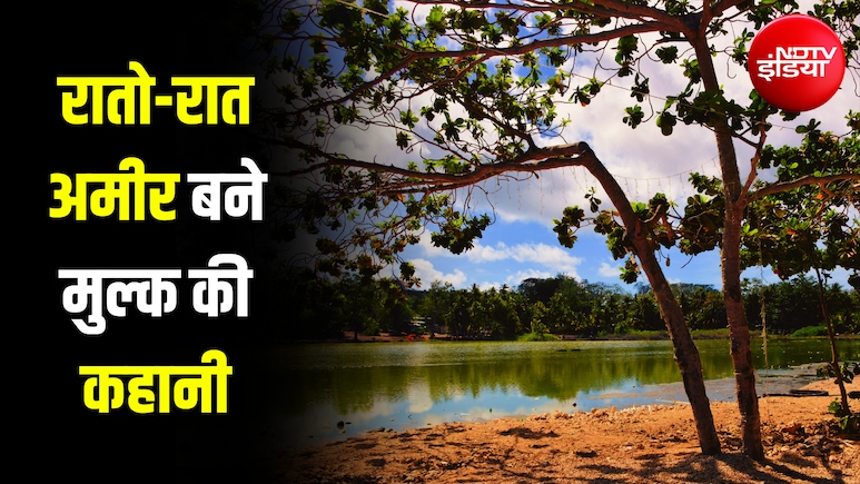 वो देश जो पक्षियों की 'बीट' से रातोंरात बन गया था दुनिया का सबसे अमीर मुल्क... आज कैसे हैं हालात?