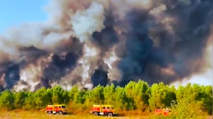 France's Wildfires Force George Clooney's Family To Evacuate Home