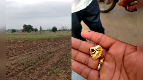 500 Grams Of Gold Found In Telangana Farm, Ex-Landowner's Son Claims Share