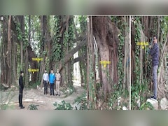इतिहास की सबसे बड़ी गलतफहमी हुई दूर! बिहार में मिले मुगल काल से भी पुराने बरगद ने खोले नए राज