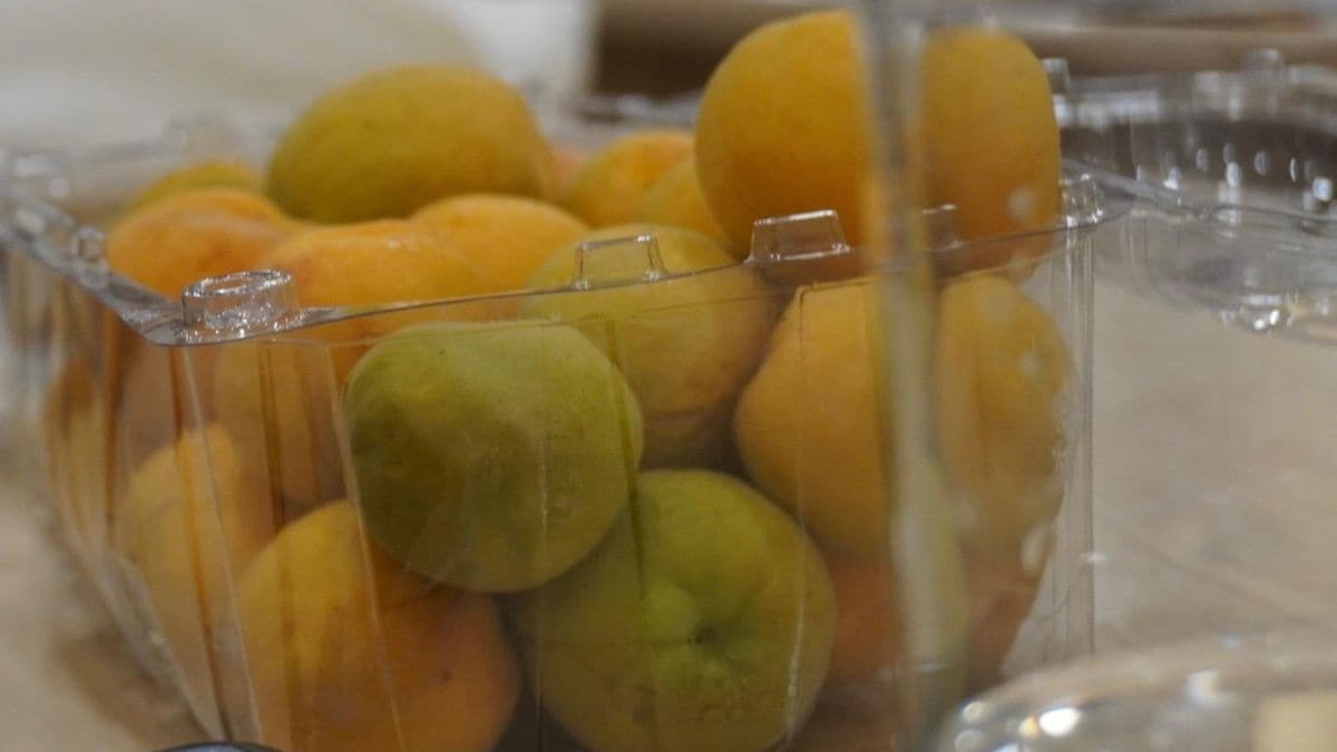 Ladakh Sends First Fresh Apricot Export To UAE, Targets 1,000 Tonnes This Season