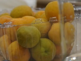 Ladakh Sends First Fresh Apricot Export To UAE, Targets 1,000 Tonnes This Season