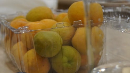 Ladakh Sends First Fresh Apricot Export To UAE, Targets 1,000 Tonnes This Season