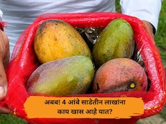 लोक हसले, पण गडी खचला नाही; 4 आंबे साडेतीन लाखांना विकून दाखवले, उत्तर प्रदेशच्या शेतकऱ्याची देशभर चर्चा