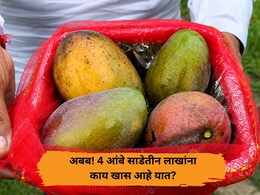 लोक हसले, पण गडी खचला नाही; 4 आंबे साडेतीन लाखांना विकून दाखवले, उत्तर प्रदेशच्या शेतकऱ्याची देशभर चर्चा