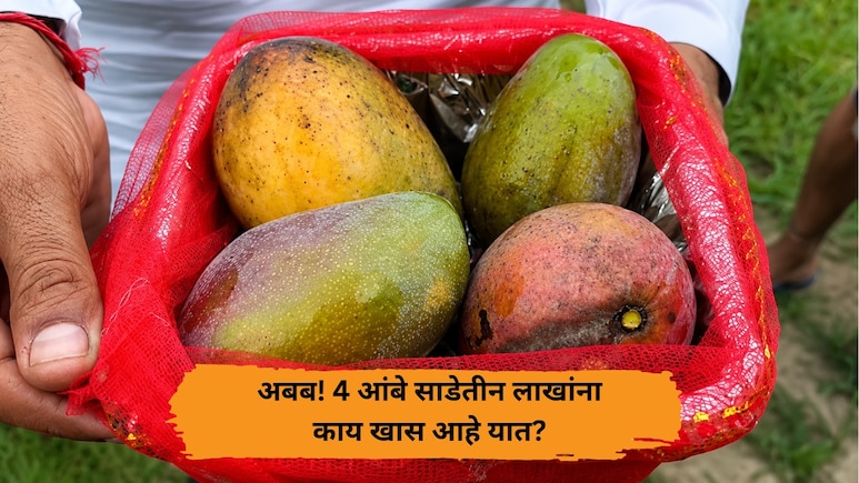 लोक हसले, पण गडी खचला नाही; 4 आंबे साडेतीन लाखांना विकून दाखवले, उत्तर प्रदेशच्या शेतकऱ्याची देशभर चर्चा