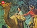 350 दिन तक थिएटर्स पर रहा इस फिल्म का राज, देव आनंद को बनाया सुपरस्टार, 61 साल बाद भी कहलाती है कल्ट