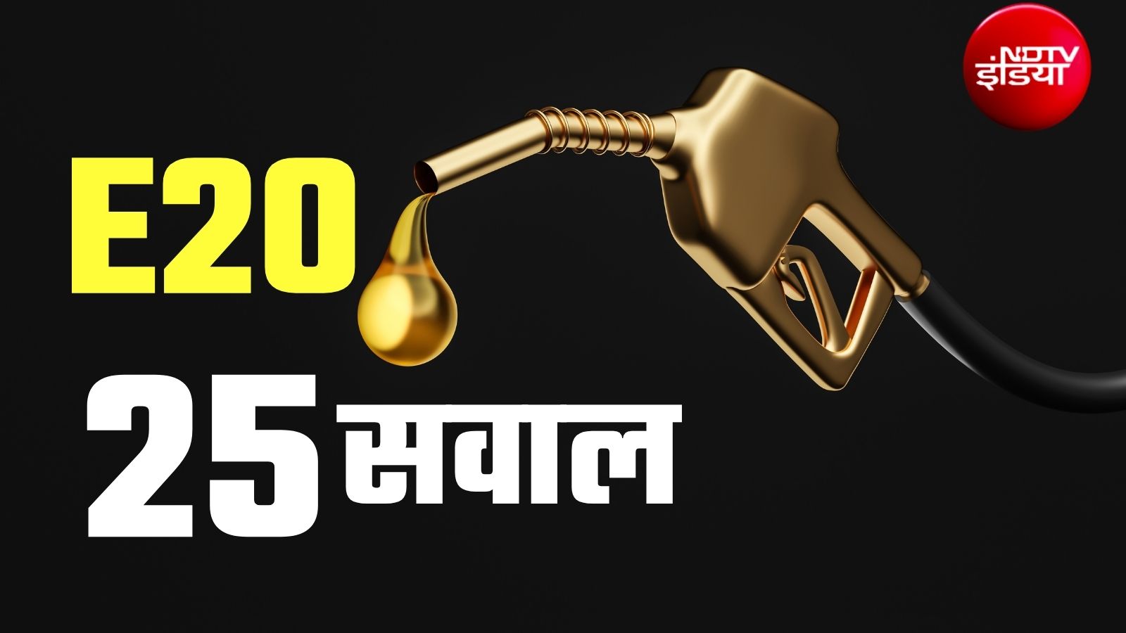 E20 Petrol FAQ: क्या E20 से मेरी गाड़ी खराब हो जाएगी, ये सस्‍ता क्‍यों नहीं? ऐसे ही 25 सवालों के जवाब यहां