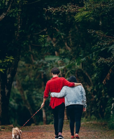 Health Benefits Of 10-Minute Walk After Dinner