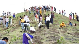 स्वच्छता के बाद पर्यावरण में नंबर 1 बनने की तैयारी, इंदौर में लगेंगे 21 लाख पौधे और 51 हजार वाटर हार्वेस्टिंग