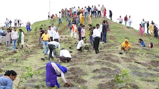 स्वच्छता के बाद पर्यावरण में नंबर 1 बनने की तैयारी, इंदौर में लगेंगे 21 लाख पौधे और 51 हजार वाटर हार्वेस्टिंग
