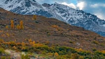 6 Indian Destinations That Feel Like Switzerland
