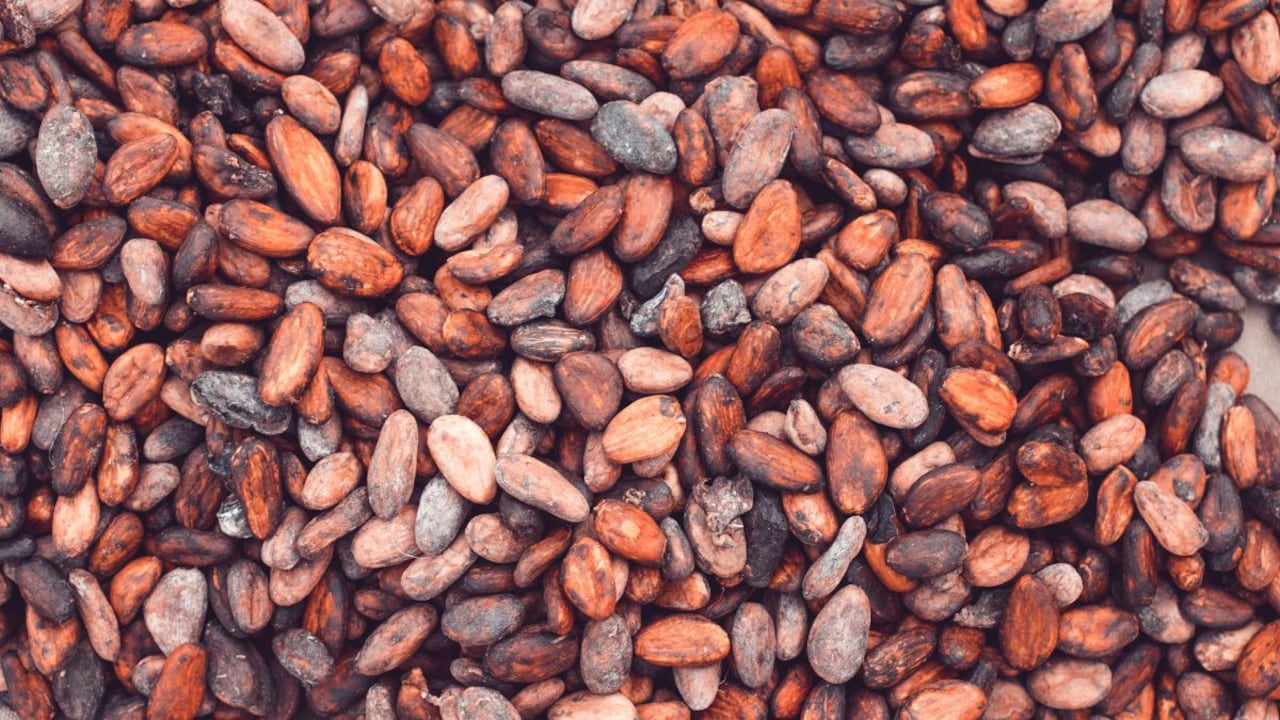Chocolate is full of fascinating secrets that most people have never heard of.