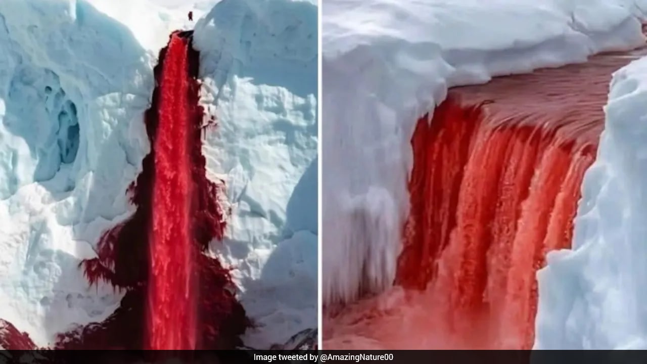 Scientists explain Antarctica’s “Blood Falls,” a rust-red flow from beneath Taylor Glacier