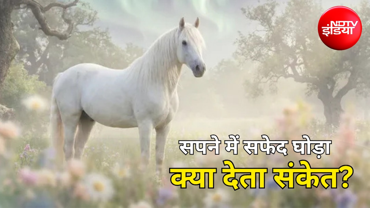 Swapna Shastra: अगर आपकों सपने में दिखाई दे सफेद घोड़ा, जानें क्या है इसका संकेत