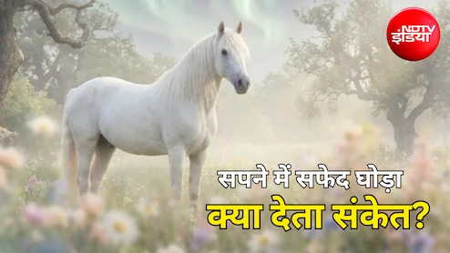 Swapna Shastra: अगर आपकों सपने में दिखाई दे सफेद घोड़ा, जानें क्या है इसका संकेत
