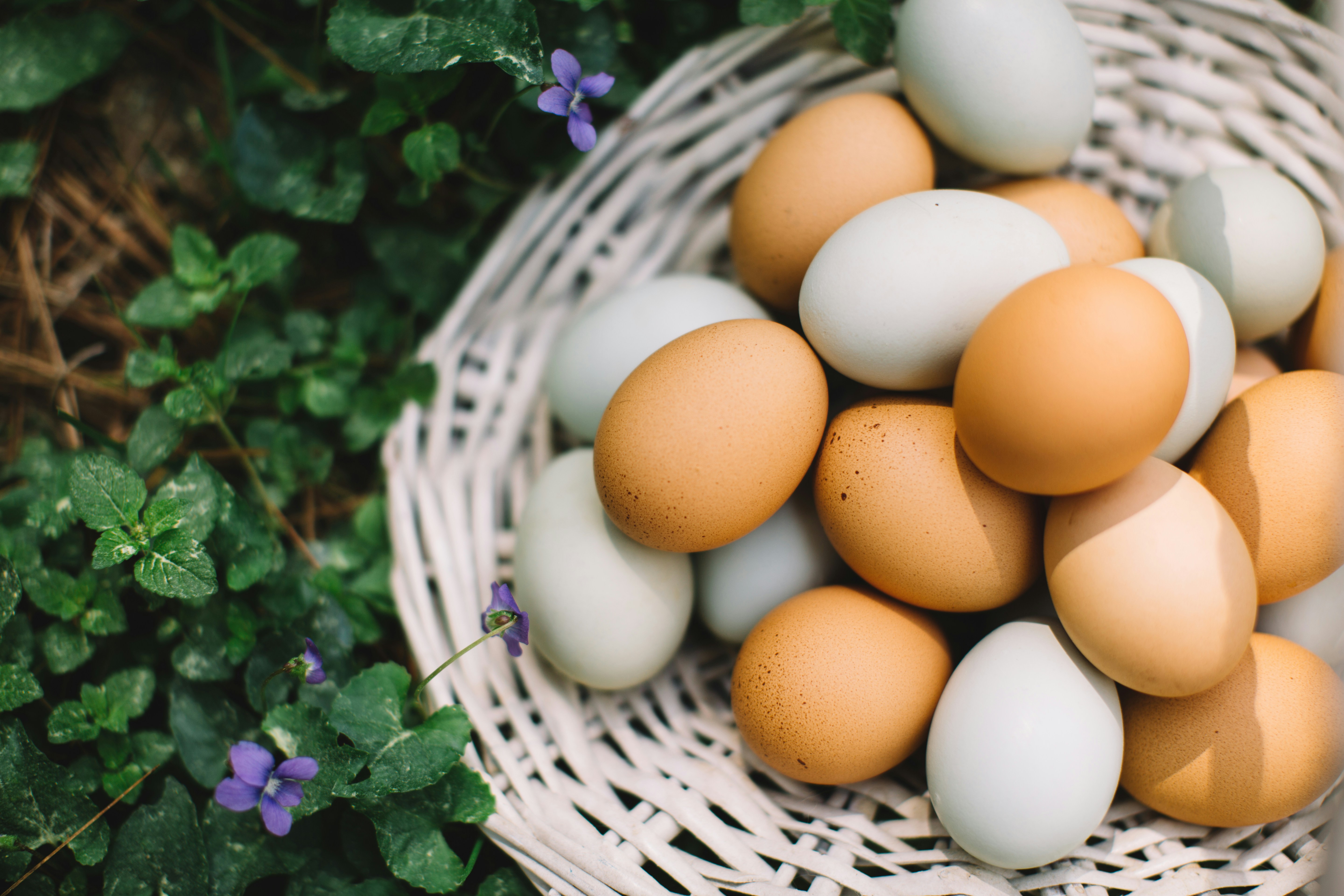 Which City Is Known As The Egg Capital Of India?