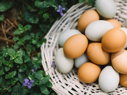 Which City Is Known As The Egg Capital Of India?