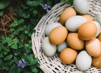 Which City Is Known As The Egg Capital Of India?