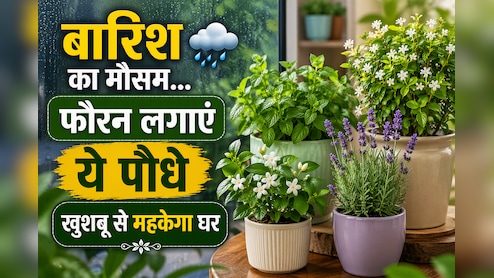 बरसात के मौसम में लगा लें ये फूलों वाले पौधे, पूरे घर में महक जाएगी खुशबू