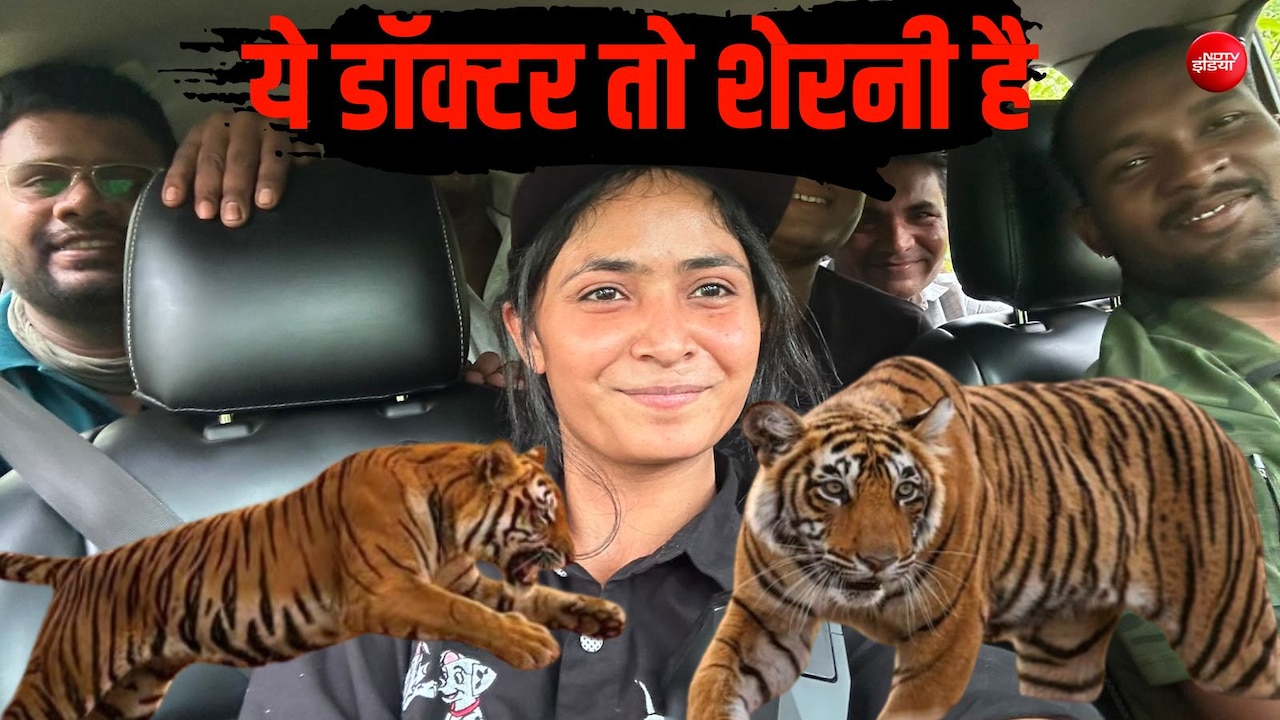 ये डॉक्टर तो शेरनी निकली, पिंजरे में घुसकर नरभक्षी बाघिन को किया काबू, 3 महीने से दहशत में थे ग्रामीण