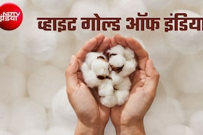 ये है भारत का 'सफेद सोना', दुनिया का करीब 20 फीसदी उत्&zwj;पादन यहीं! फैक्&zwj;टशीट में सरकार ने और क्&zwj;या बताया?