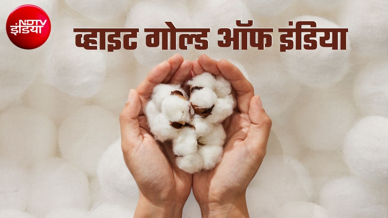 ये है भारत का 'सफेद सोना', दुनिया का करीब 20 फीसदी उत्‍पादन यहीं! फैक्‍टशीट में सरकार ने और क्‍या बताया?