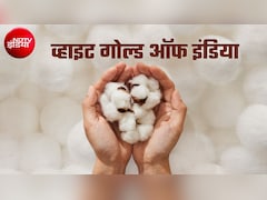 ये है भारत का 'सफेद सोना', दुनिया का करीब 20 फीसदी उत्‍पादन यहीं! फैक्‍टशीट में सरकार ने और क्‍या बताया?