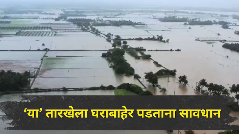 Maharashtra Rain : महाराष्ट्रातील 'या' सात जिल्ह्यांमध्ये मुसळधार ते अतिमुसळधार पाऊस कोसळणार, वाचा IMD अलर्ट