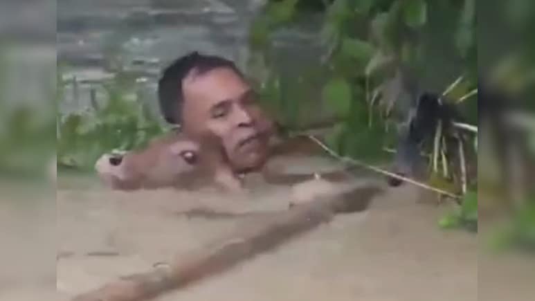 Video: Assam Man Risks Life In Neck-Deep Floodwater To Save Drowning Calf