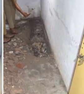 Agra Woman Kills Husband, Buries Body In Bathroom. Tells People He's Missing