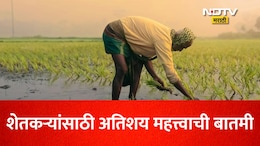 Farmer News: शेतकऱ्यांसाठी महत्त्वाची बातमी! प्रधानमंत्री पीक विमा योजनेत सहभागी होण्याची ही आहे शेवटची तारीख