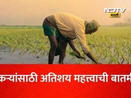 Farmer News: शेतकऱ्यांसाठी महत्त्वाची बातमी! प्रधानमंत्री पीक विमा योजनेत सहभागी होण्याची ही आहे शेवटची तारीख