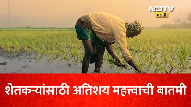 Farmer News: शेतकऱ्यांसाठी महत्त्वाची बातमी! प्रधानमंत्री पीक विमा योजनेत सहभागी होण्याची ही आहे शेवटची तारीख