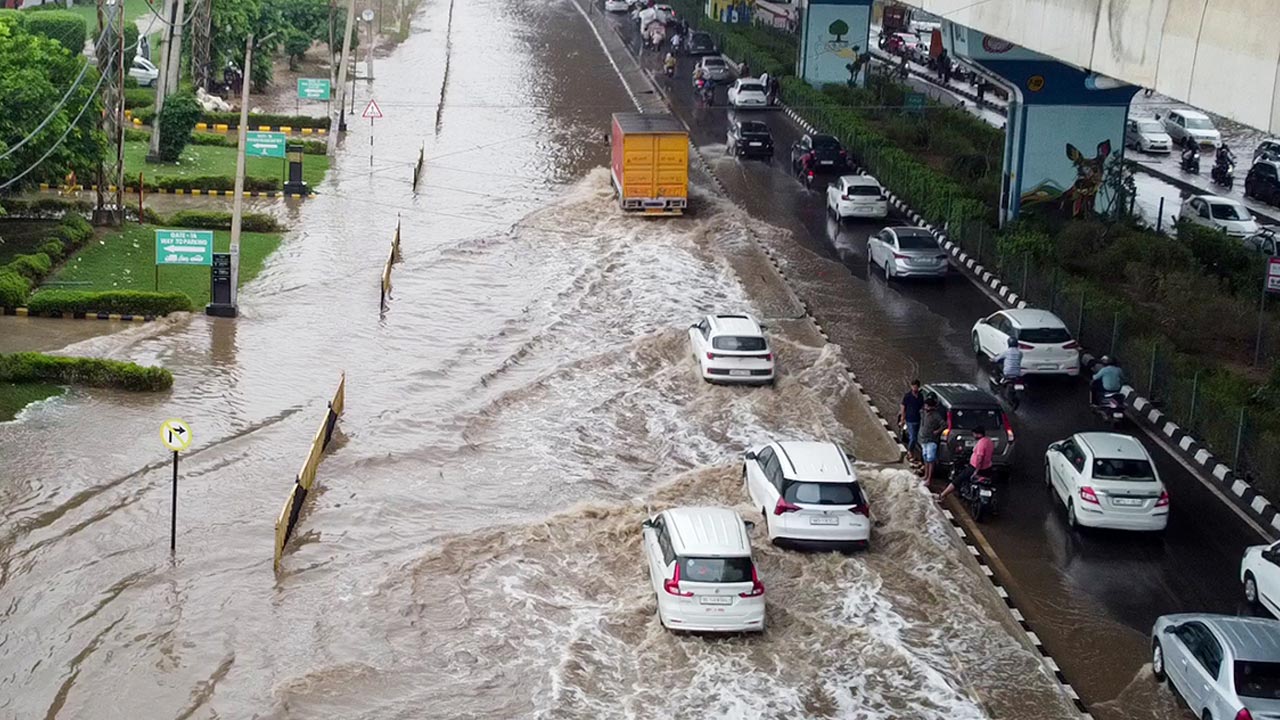 Delhi-NCR Heavy Rains Trigger Chaos: Waterlogging, Uprooted Trees Disrupt Traffic