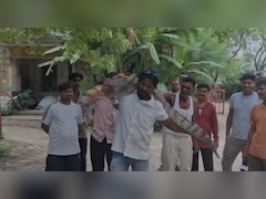चंबल का 'बाहुबली', 6 फीट लंबे मगरमच्‍छ को कंधे पर उठाकर पूरे गांव में घूमा शख्‍स 