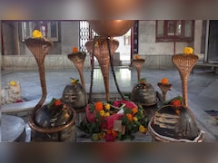कैलाश से उतरकर यहीं रुकी थी भगवान शिव की बारात, रहस्यमयी पेड़ से जुड़ी है अनोखी मान्यता