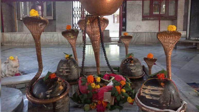 कैलाश से उतरकर यहीं रुकी थी भगवान शिव की बारात, रहस्यमयी पेड़ से जुड़ी है अनोखी मान्यता