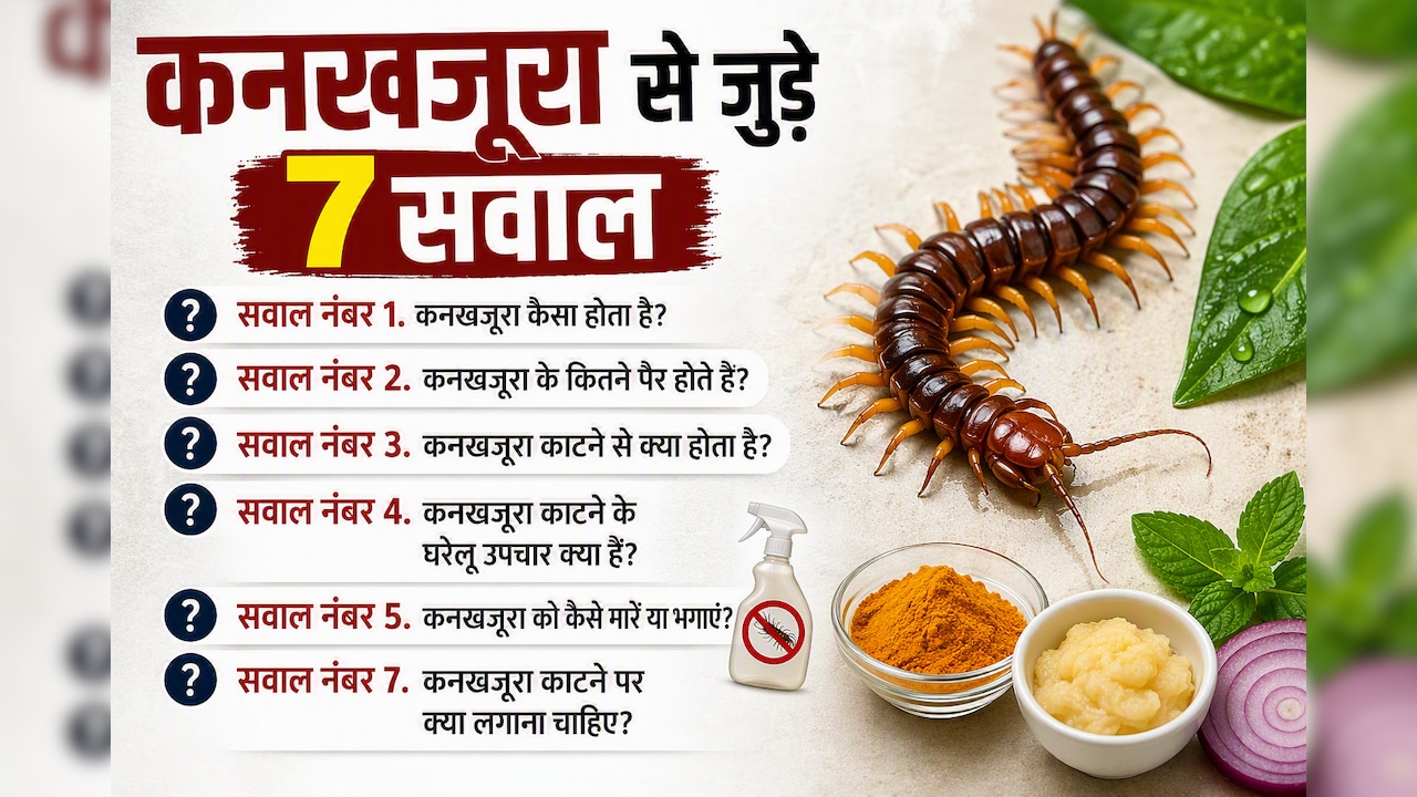 कनखजूरा काट ले तो घबराएं नहीं, तुरंत करें ये काम! डॉक्टर से जानें क्या लगाना सही है और क्या गलत
