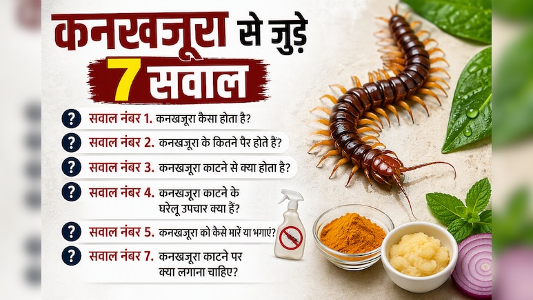 कनखजूरा काट ले तो घबराएं नहीं, तुरंत करें ये काम! डॉक्टर से जानें क्या लगाना सही है और क्या गलत