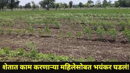 Buldhana News: बुलढाण्यात खळबळ! शेतात काम करणाऱ्या महिलेसोबत घडला संतापजनक प्रकार, पीडितेची पोलिसांत धाव