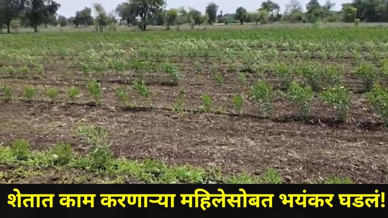 Buldhana News: बुलढाण्यात खळबळ! शेतात काम करणाऱ्या महिलेसोबत घडला संतापजनक प्रकार, पीडितेची पोलिसांत धाव
