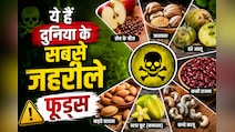 ये हैं दुनिया के 7 सबसे जहरीले फूड्स, खाते ही हो सकती मुश्किल