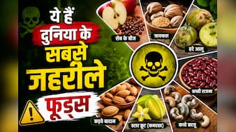 ये हैं दुनिया के 7 सबसे जहरीले फूड्स, खाते ही हो सकती मुश्किल